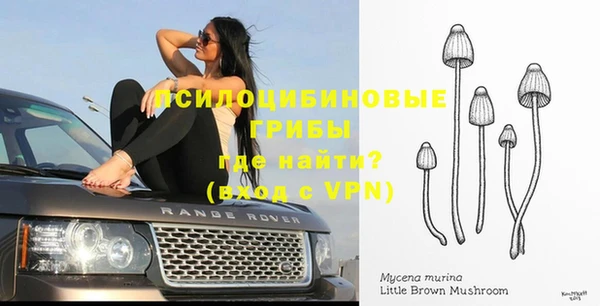 ПСИЛОЦИБИНОВЫЕ ГРИБЫ Белокуриха