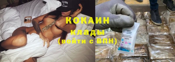 шишки Белоозёрский
