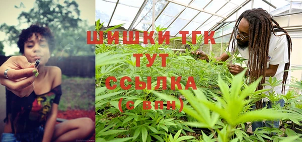 ПСИЛОЦИБИНОВЫЕ ГРИБЫ Белокуриха