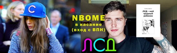 шишки Белоозёрский