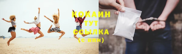 шишки Белоозёрский