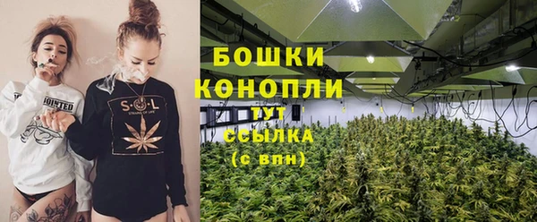шишки Белоозёрский