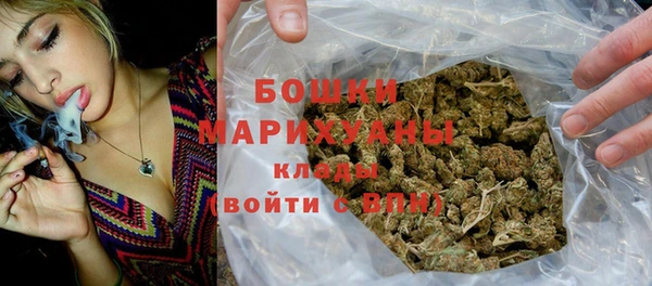 шишки Белоозёрский