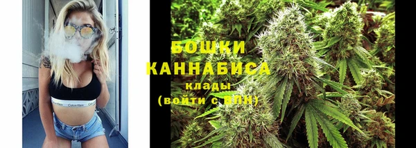 ПСИЛОЦИБИНОВЫЕ ГРИБЫ Белокуриха