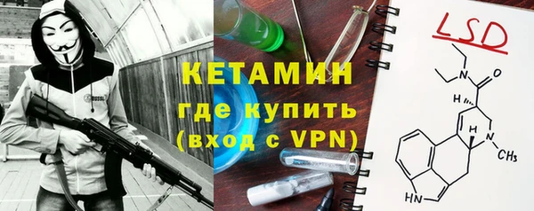 шишки Белоозёрский