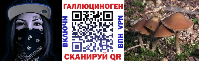 ОМГ ОМГ как зайти  Кинель  Псилоцибиновые грибы ЛСД  закладка 